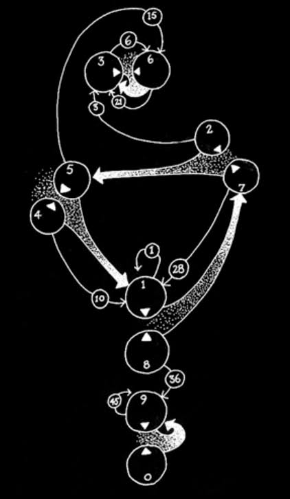 Original numogram reference